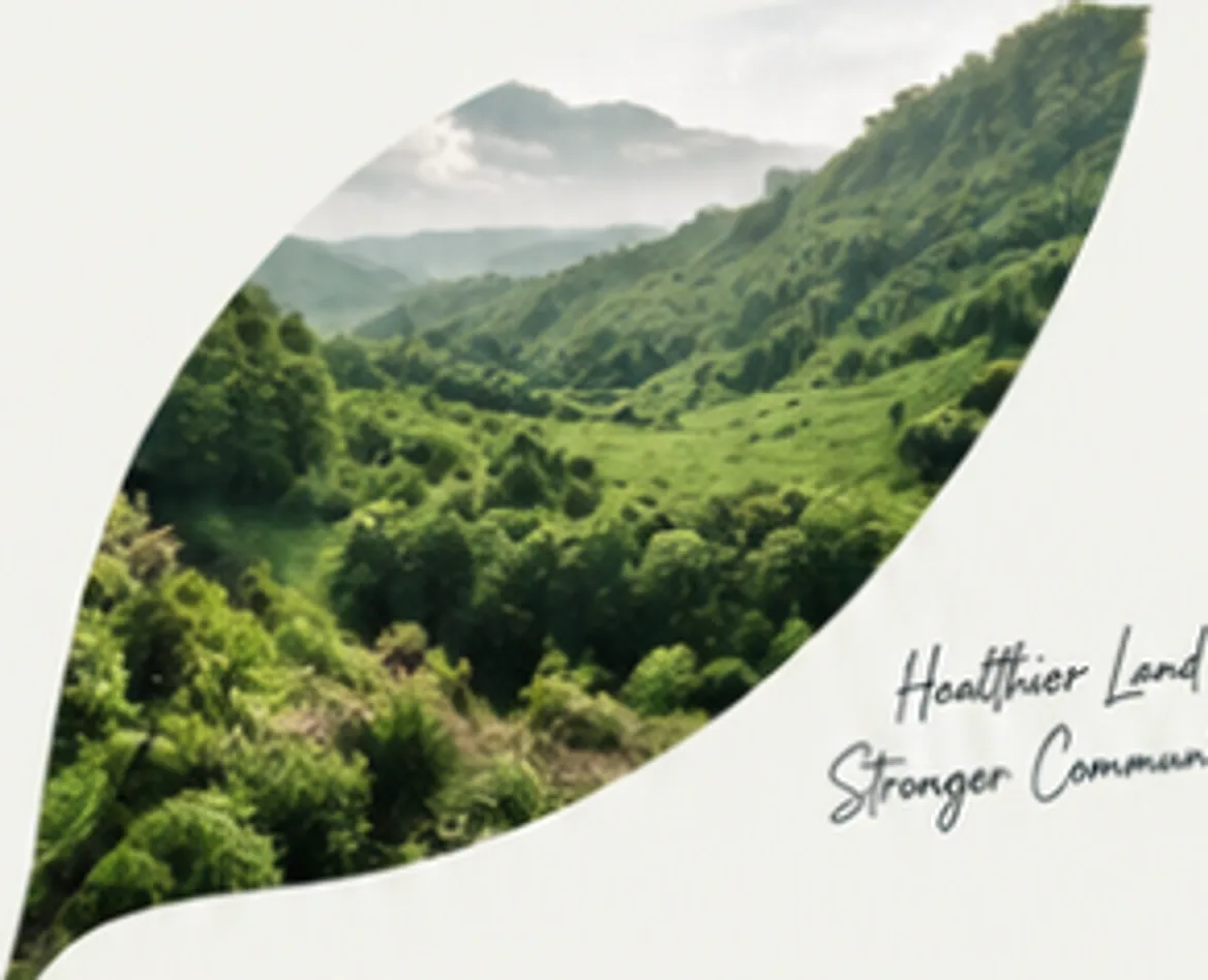 Restored green valley with forested hills under a soft sky