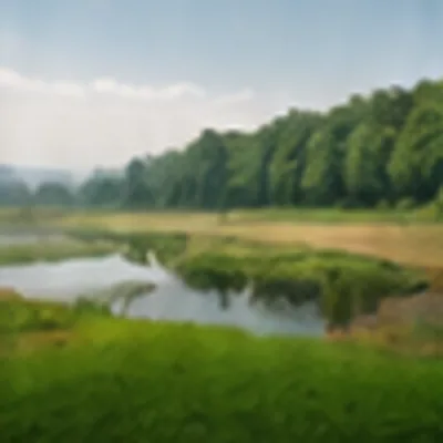 Restored wetland with grassland and open water